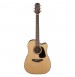 Takamine GD10CE-NS elektro-akustična kitara